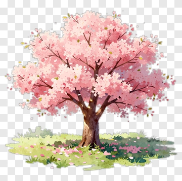 Colorful Cherry Blossom Tree PNG
