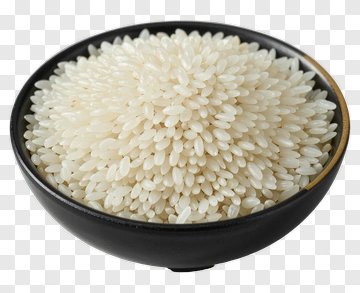 Bowl Of White Rice PNG