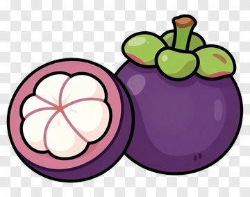 Cartoon Mangosteen Fruit PNG