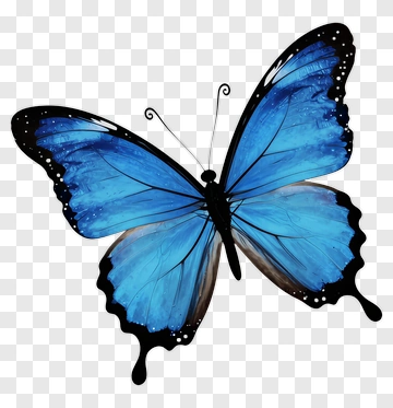 Blue Butterfly PNG