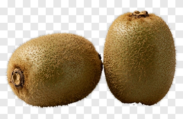 Kiwi Fruit PNG