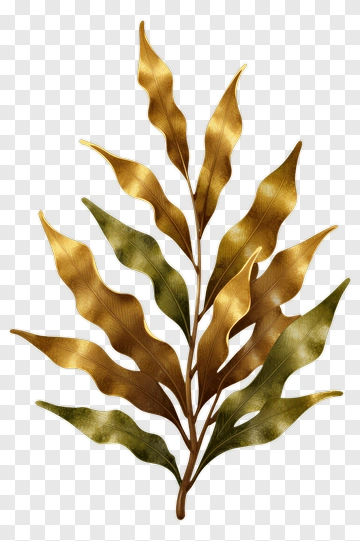 Golden Leafy Plant PNG