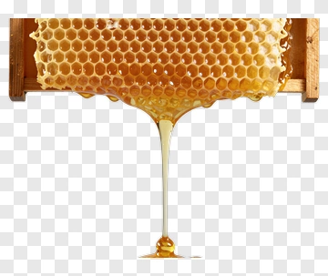 Honeycomb Dripping Honey PNG
