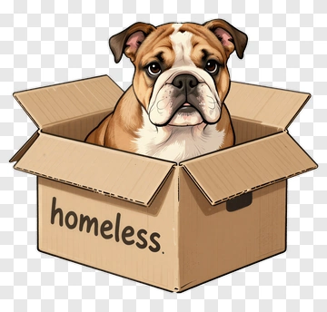 Bulldog In A Homeless Box PNG