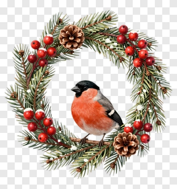 Bullfinch In A Christmas Wreath PNG