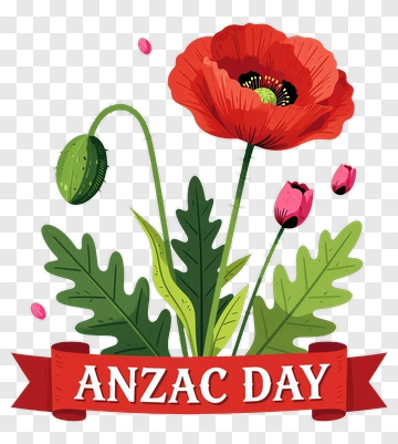 Red Poppy Flower With Anzac Day Banner PNG