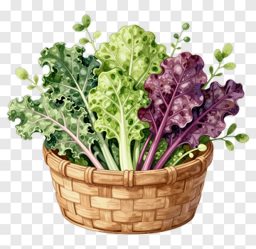 Colorful Basket Of Fresh Greens PNG