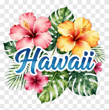 Colorful Hibiscus Flowers With Hawaii Text PNG