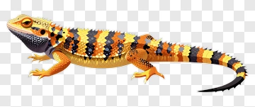 Colorful Lizard With Orange And Black Stripes PNG