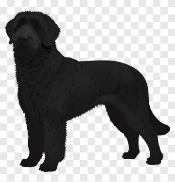 Black Dog PNG