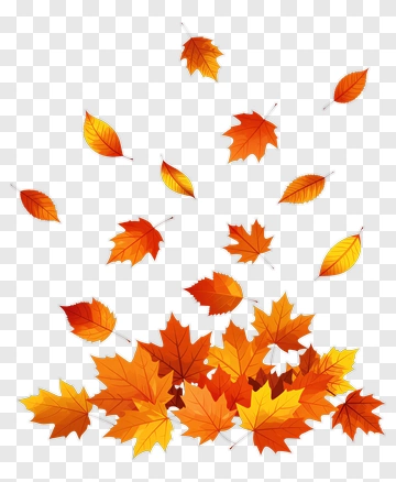 Falling Autumn Leaves PNG