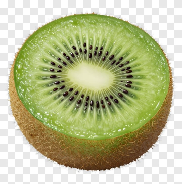Fresh Kiwi Fruit Slice PNG