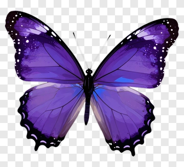 Purple Butterfly PNG