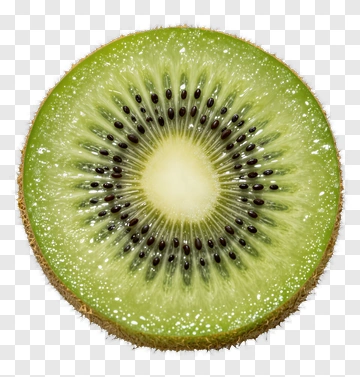 Fresh Kiwi Slice PNG