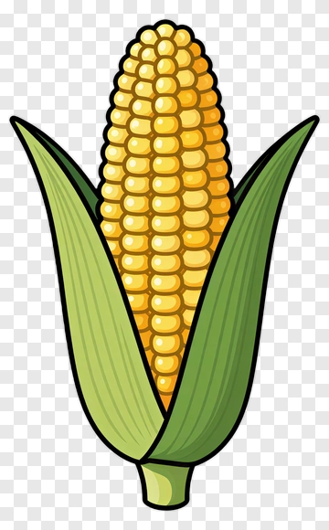 Cartoon Corn On The Cob PNG