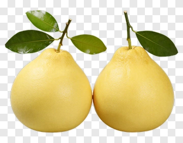 Yellow Pomelo With Leaves PNG