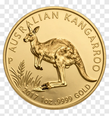 Australian Kangaroo Gold Coin PNG