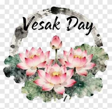 Vesak Day With Pink Lotus Flowers PNG