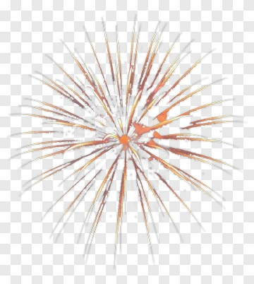 Colorful Firework Burst PNG