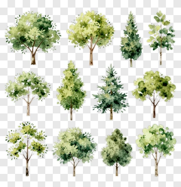 Watercolor Tree Collection PNG