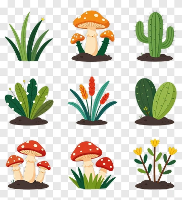 Collection Of Colorful Plants And Mushrooms PNG
