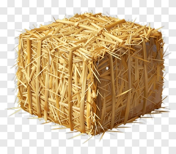 Hay Bale PNG
