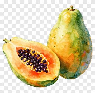 Watercolor Papaya Fruit PNG