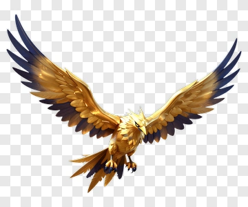 Golden Eagle Flying PNG