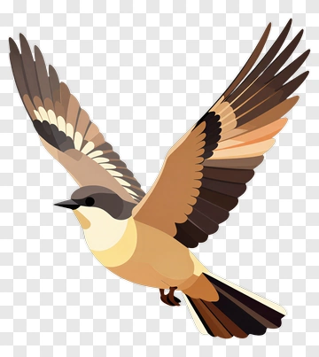 Colorful Bird In Flight PNG