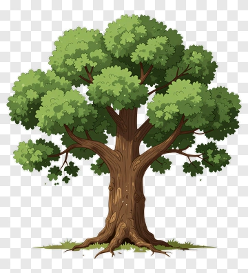 Colorful Tree PNG