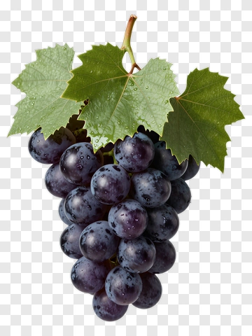 Fresh Bunch Of Grapes With Green Leaves PNG