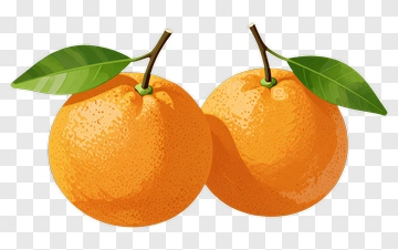 Pair Of Oranges With Leaves PNG