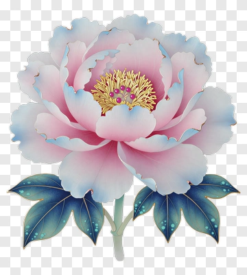 Colorful Peony Flower PNG