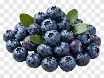 Fresh Blueberries With Green Leaves PNG