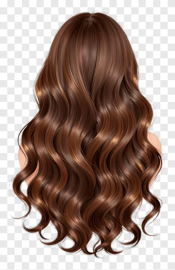 Long Wavy Brown Hair PNG