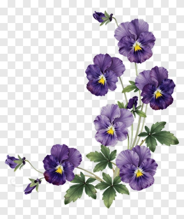 Purple Pansy Flowers Arrangement PNG