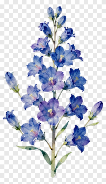 Watercolor Bluebell Flower Bouquet PNG
