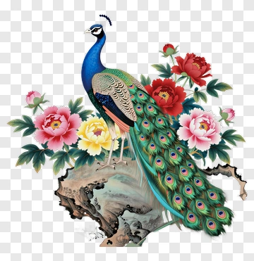 Peacock Among Colorful Flowers PNG