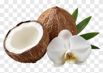 Coconut And Orchid With Green Leaves PNG