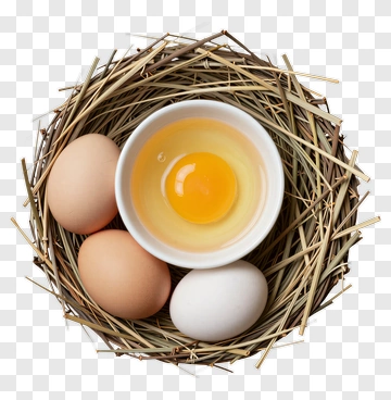 Eggs In A Nest With A Broken Egg PNG