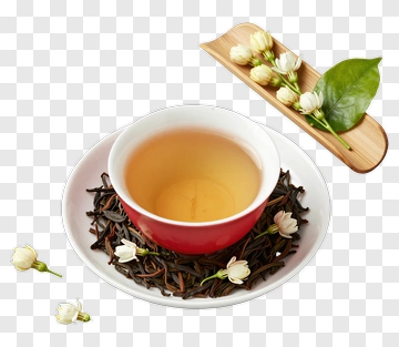 Tea Cup With Jasmine Flowers PNG