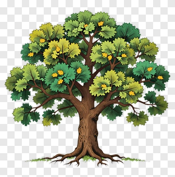 Colorful Tree PNG