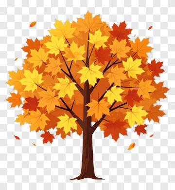 Colorful Tree With Autumn Leaves PNG