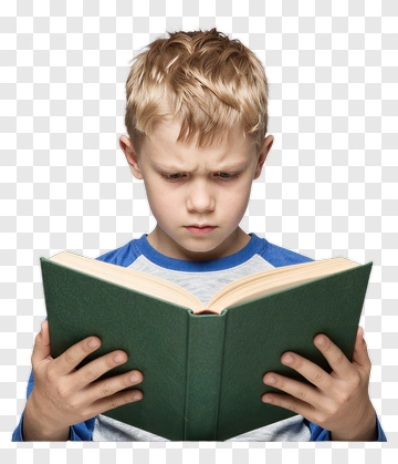 Boy Reading A Book PNG