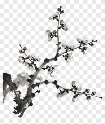 Black And White Cherry Blossom Branch PNG
