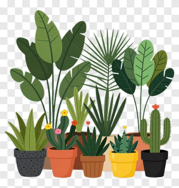 Colorful Potted Plants Arrangement PNG