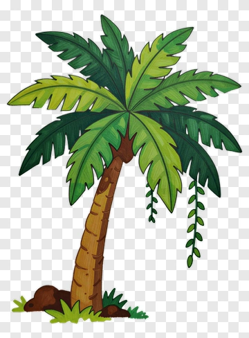 Colorful Palm Tree PNG