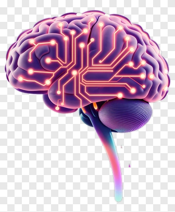 3D Brain With Circuit Patterns PNG