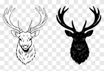 Deer Head Illustration PNG