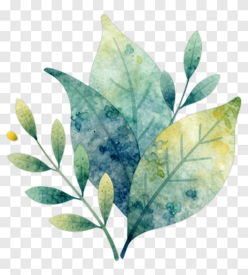 Watercolor Leaves PNG